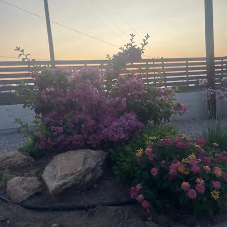 Anastasias View 別荘 ルートラキ